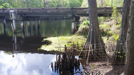 Bridge across Withlacoochee from River Ratz