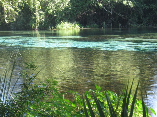 Weeki Wachee Springs State Park