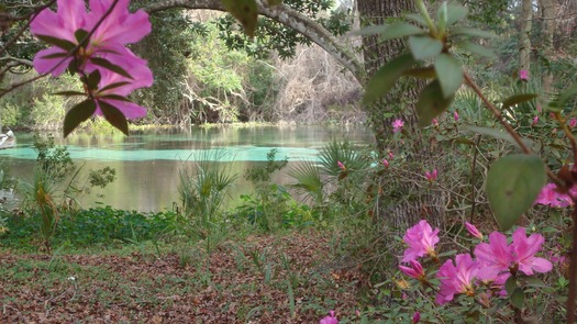 Weeki Wachee Springs State Park