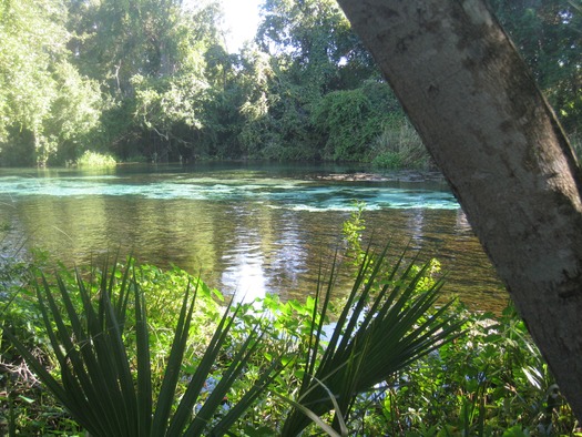 Weeki Wachee Springs State Park