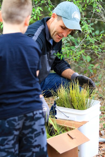 Cypress Lakes LongLeaf Pine Seedlings 9 (Photo from ESL) (3)