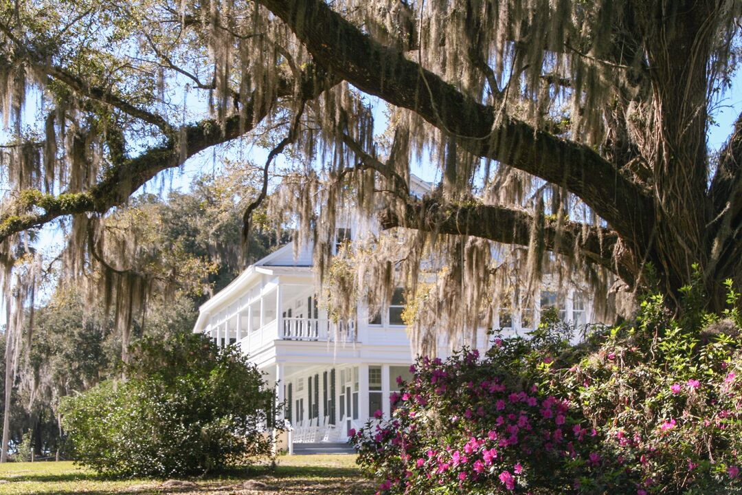 Chinsegut Hill Historic Site, Brooksville