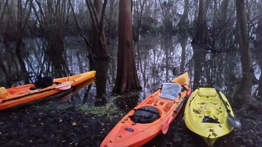 Kayaks-SilverLake