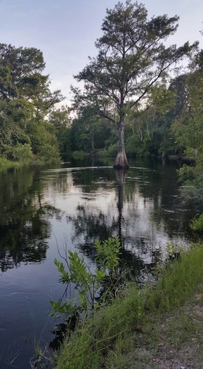 at Silver Lake Campground