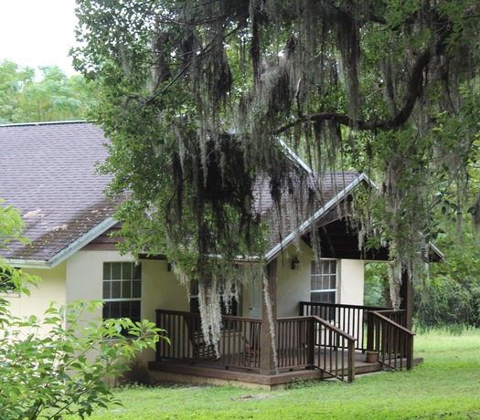 cottage porch behind trees