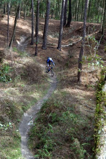 Mountain biking in Croom