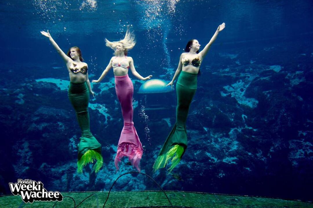 #9 - Mermaid show - today (WW FB photo)