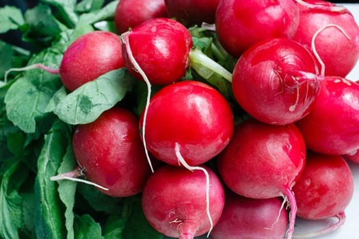 radishes (pixabay)