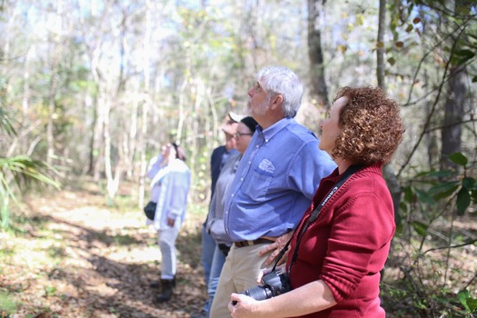 Croom Hiking Trail