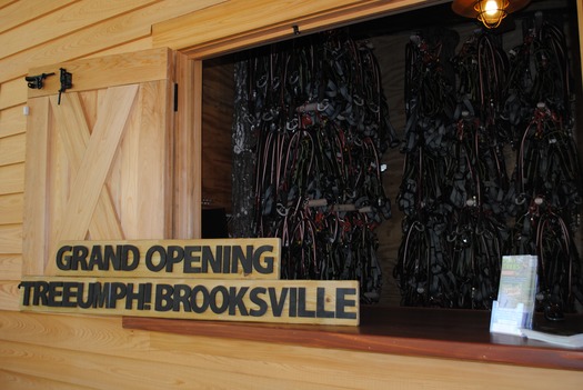 TreeUmph Grand Opening