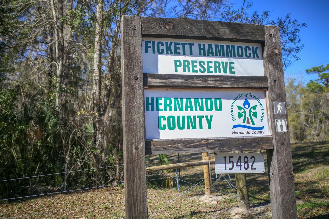 Fickett Hammock sign