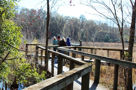 Croom Hiking Trail