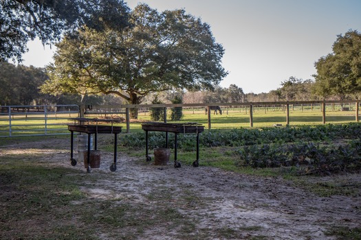 Outstanding in the Field Grill