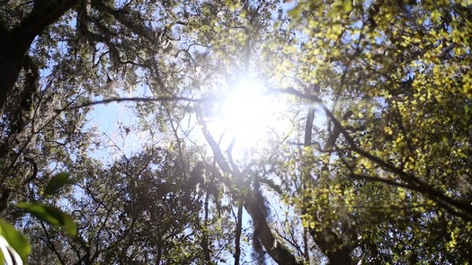 Croom Hiking Trail