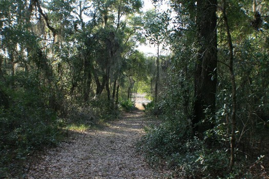 Chinsegut Conserv Ctr  (photo by CCC)