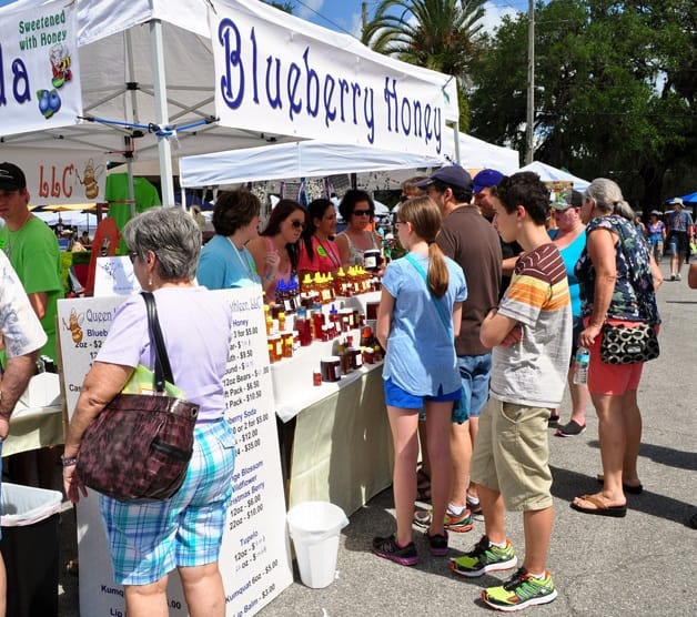 Brooksville Blueberry Festival