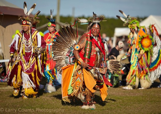 Brooksville Native American Festival