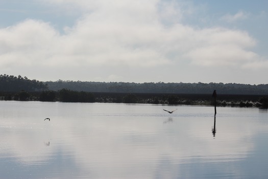 Hernando County Water Ways