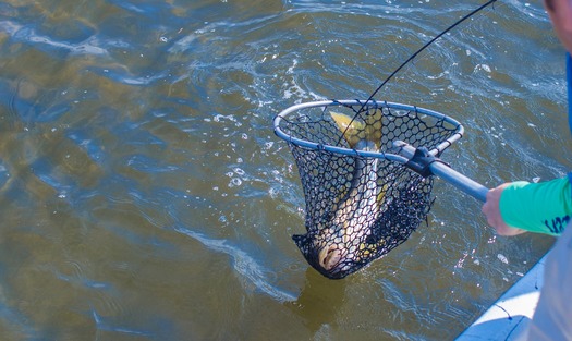 Ms. Kim and Son fishing with friends