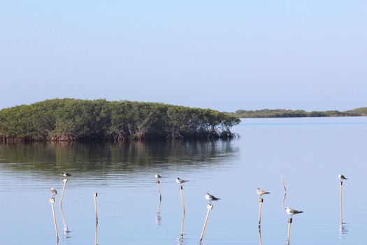 Hernando County Water Ways