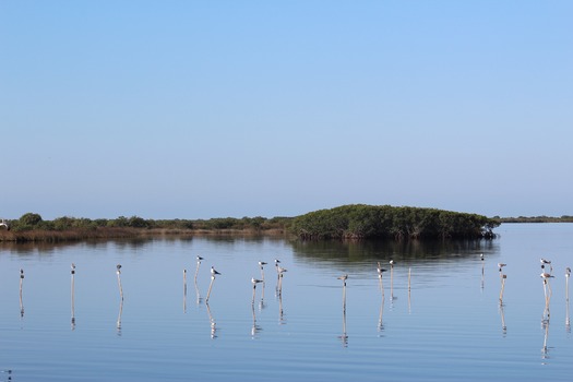 Hernando County Water Ways