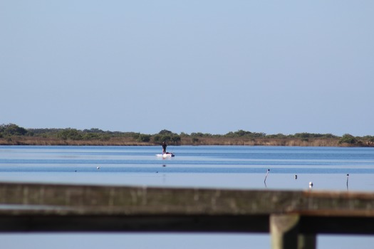 Hernando County Water Ways