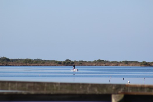 Hernando County Water Ways