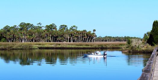 Jenkins Creek Park, Weeki Wachee