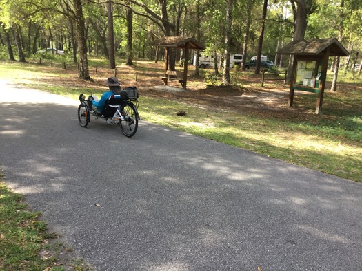 Lake Townsen  area trail with horse trailers in view