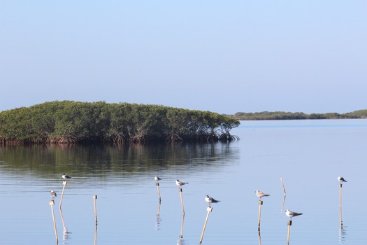 Hernando County Water Ways