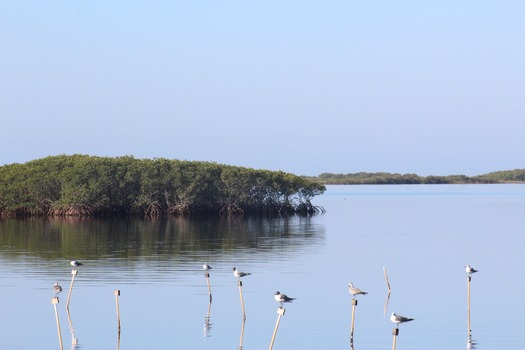 Hernando County Water Ways