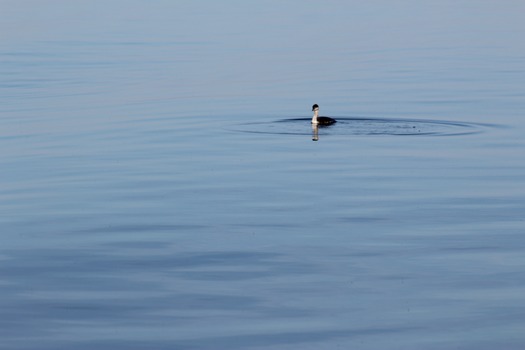 Hernando County Water Ways