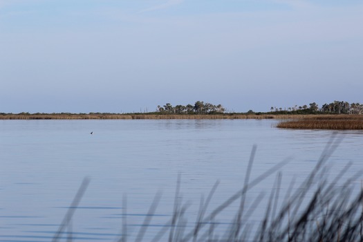 Hernando County Water Ways