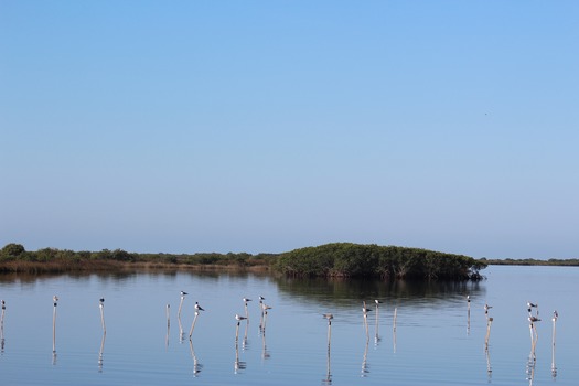 Hernando County Water Ways