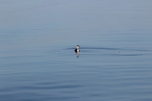 Hernando County Water Ways