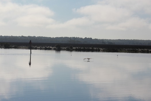 Hernando County Water Ways