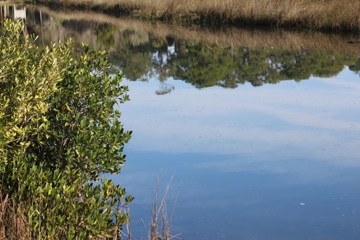 Hernando County Water Ways