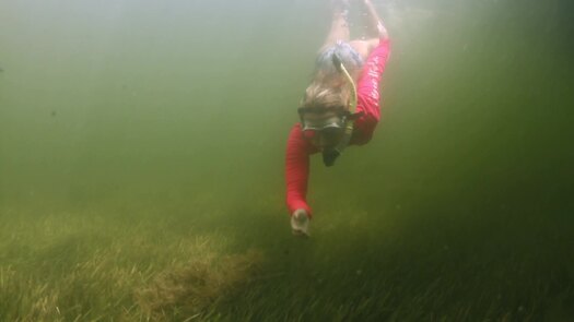 A Fishing Story with Ronnie Green Scalloping on Florida's Adventure Coast Promo