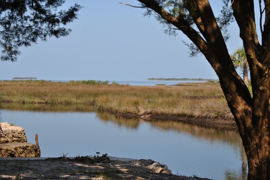 Aripeka coastline