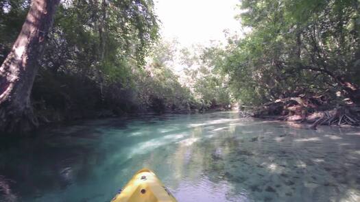 Visitor Center Loop Florida's Adventure Coast, Brooksville - Weeki Wachee