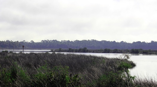 Trail from Bayport 2