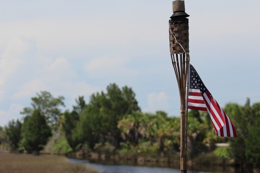 Birds in Hernando County