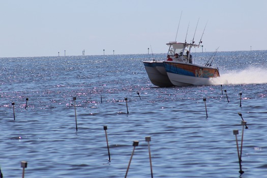 Water Adventures on the Gulf