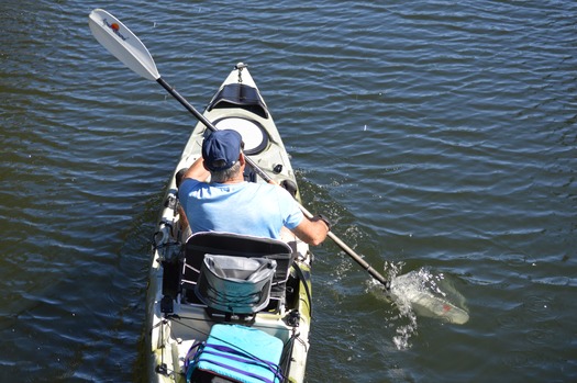 kayakers single/double