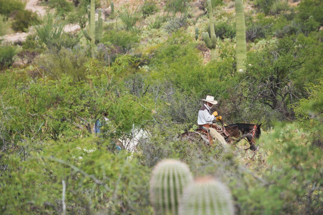 Tanque Verde Ranch, AZExpedition 1