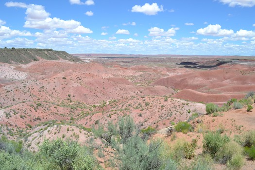 Painted Desert National Park