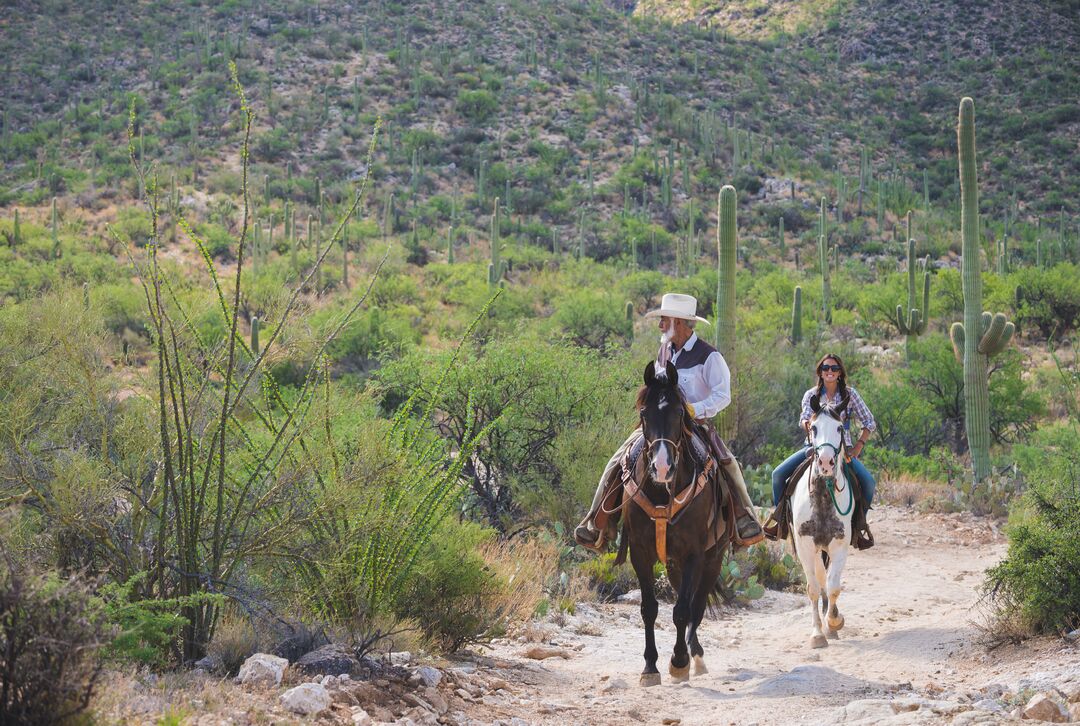 Tanque Verde Ranch, AZExpedition 1