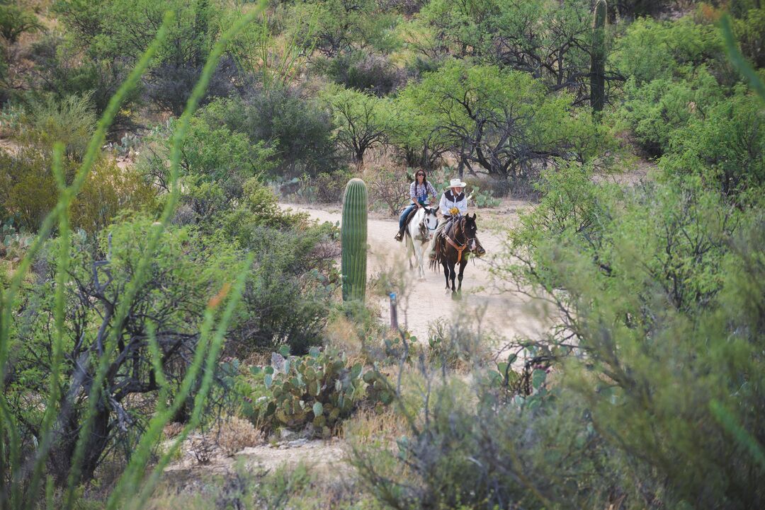 Tanque Verde Ranch, AZExpedition 1