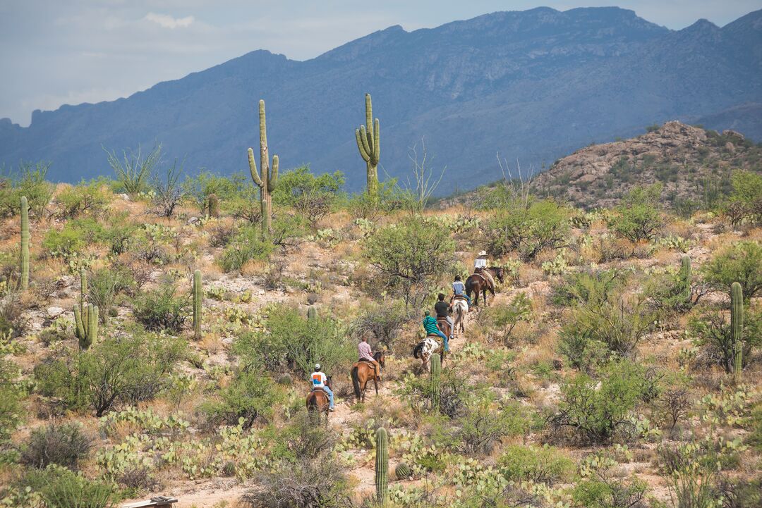 Tanque Verde Ranch, AZExpedition 1