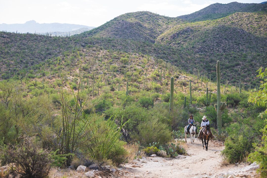 Tanque Verde Ranch, AZExpedition 1